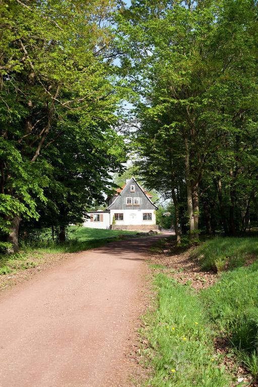 Saengerwiese Эйзенах Номер фото