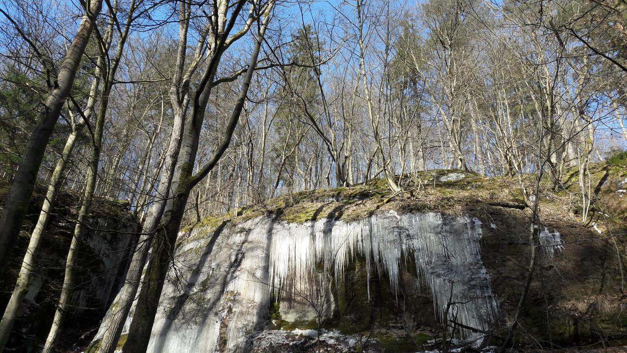 Saengerwiese Эйзенах Экстерьер фото